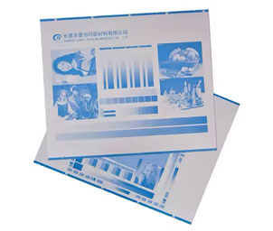 زینک دوورقی معمولی